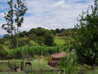 nelspruit - republika południowej afryki