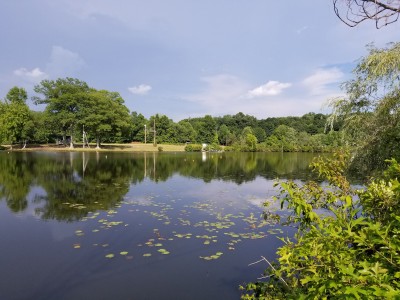 monroe - stany zjednoczone