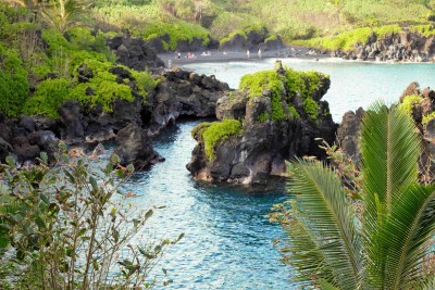 hana - stany zjednoczone