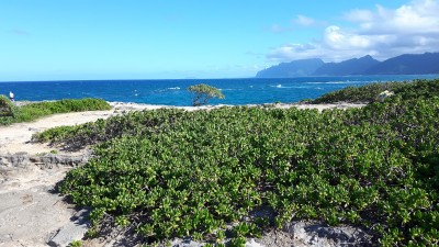 kapalua - stany zjednoczone