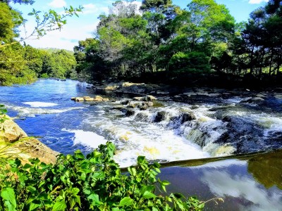 kerikeri - nowa zelandia