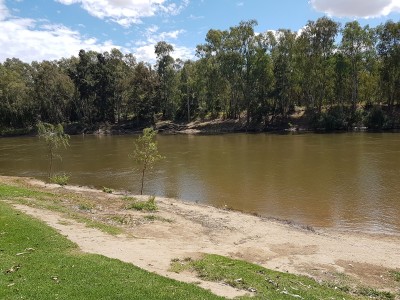 wagga wagga - australia