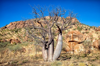 kununurra - australia