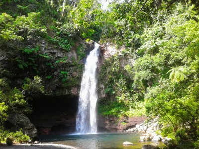 taveuni - fidżi