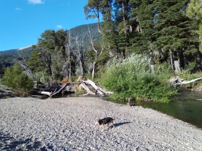 neuquén - argentyna