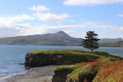 sand point - stany zjednoczone