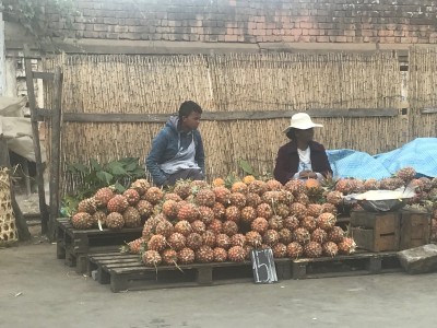 antananarywa - madagaskar