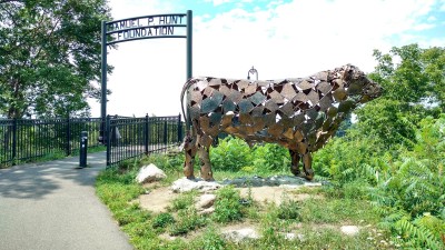 manchester - stany zjednoczone